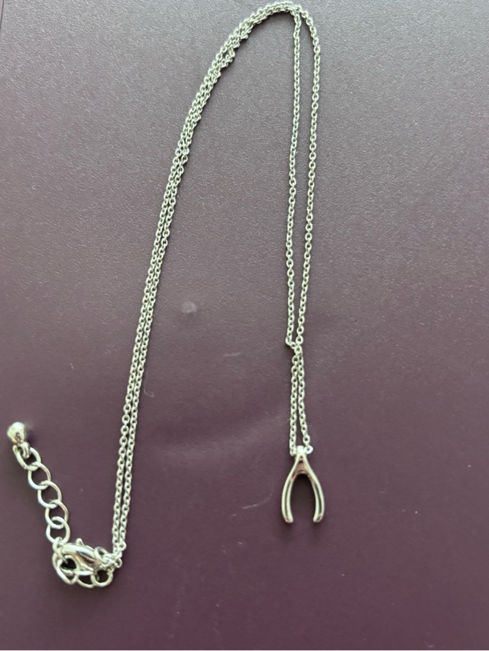 Silver Wishbone Pendant Necklace